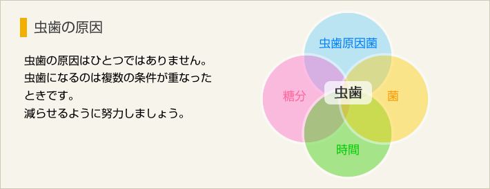 虫歯の原因